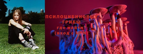 MESCALINE Аркадак
