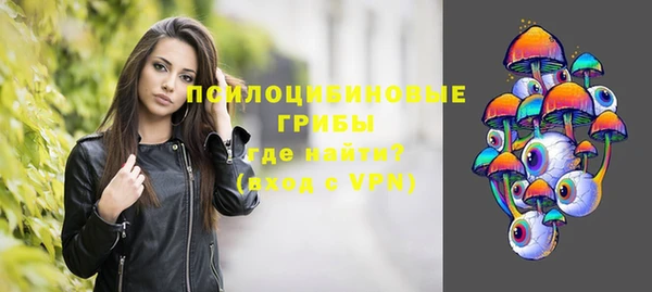 молекула духа Армянск