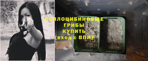 MESCALINE Аркадак