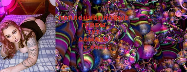 MESCALINE Аркадак