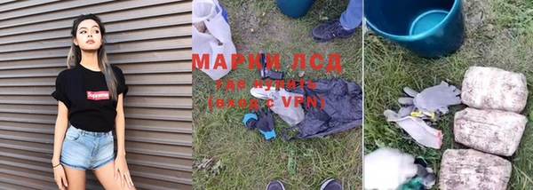 СК Арсеньев