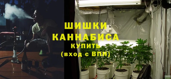 MESCALINE Аркадак